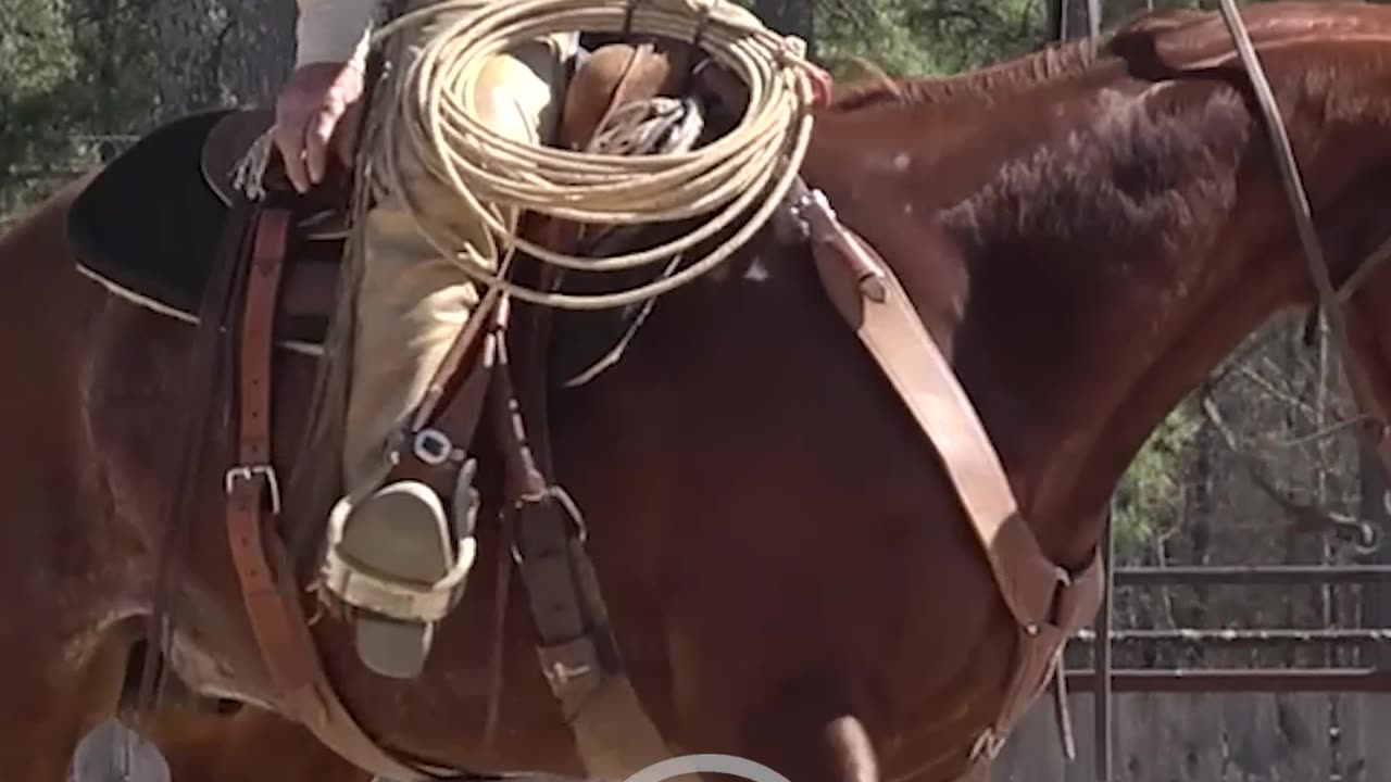 Good body control is a must for training flying lead changes.