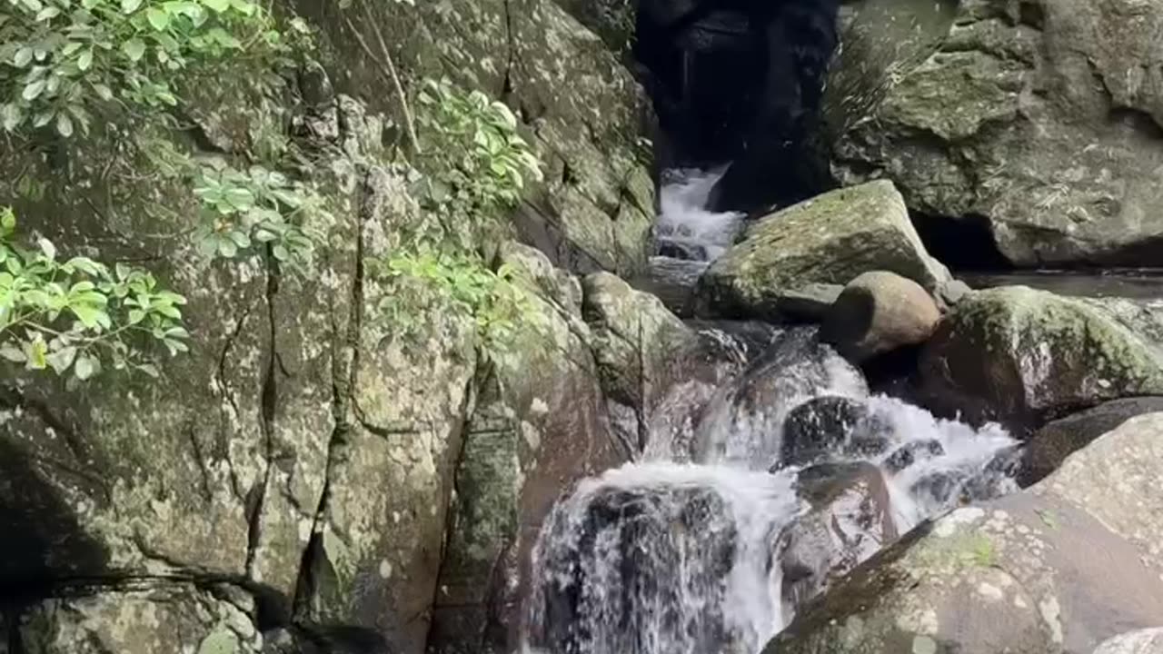 මෙචර උස කන්දක් උඩ.
