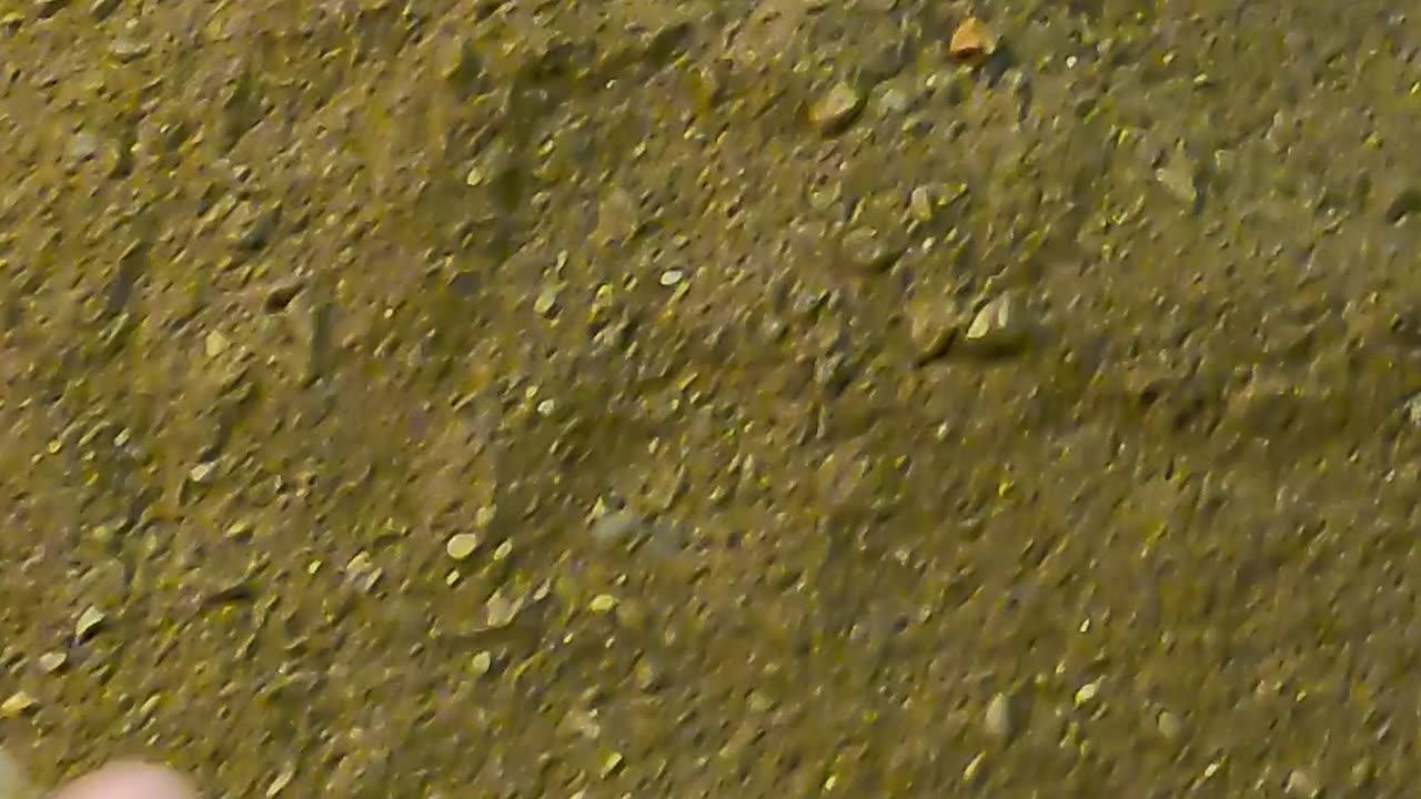 PULIZIA mattoni a Vista
