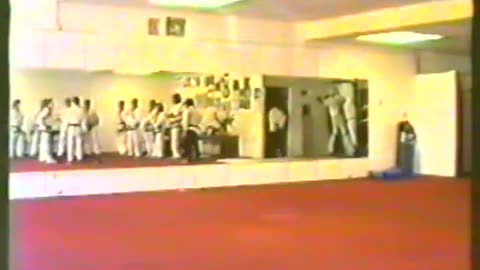 Sin Moo Hapkido With Dojunim Ji Han Jae