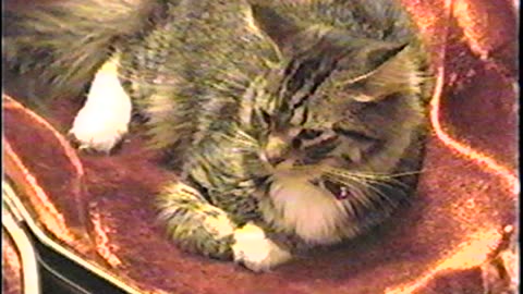 2001-VA-Sep-4