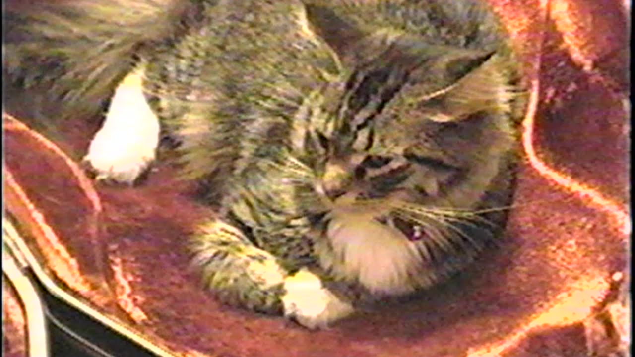 2001-VA-Sep-4