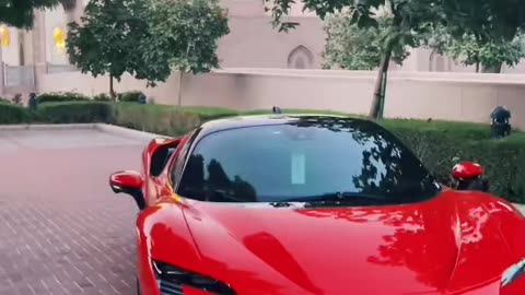 👑💎 The Ultimate Luxury Car Experience! | LuxurySportsCars