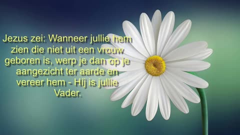 Wanneer jullie
