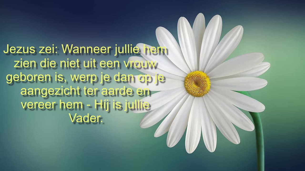 Wanneer jullie