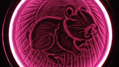 Hypnotic Hamster Sand Art