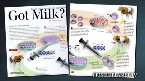 Genetic Armageddon: Humanity's Greatest Threat