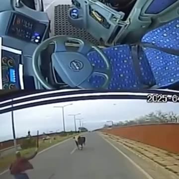 The Bull and The Funny Man