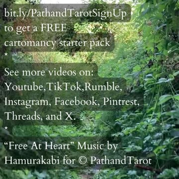 The Value Of Your Journey | Path and Tarot Reading