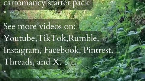 The Value Of Your Journey | Path and Tarot Reading