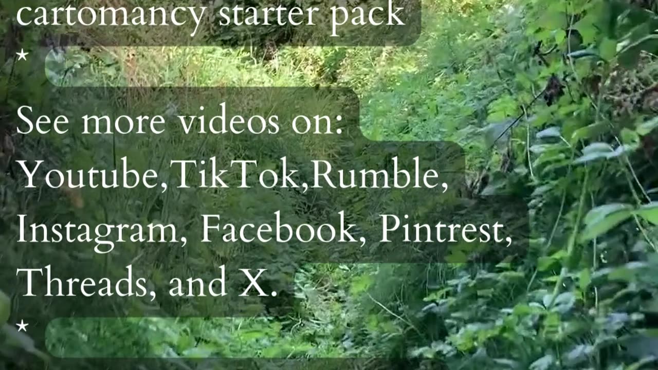 The Value Of Your Journey | Path and Tarot Reading