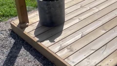 Pergola Build