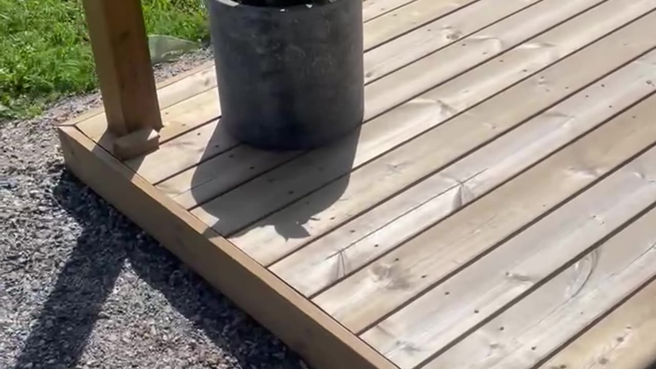 Pergola Build