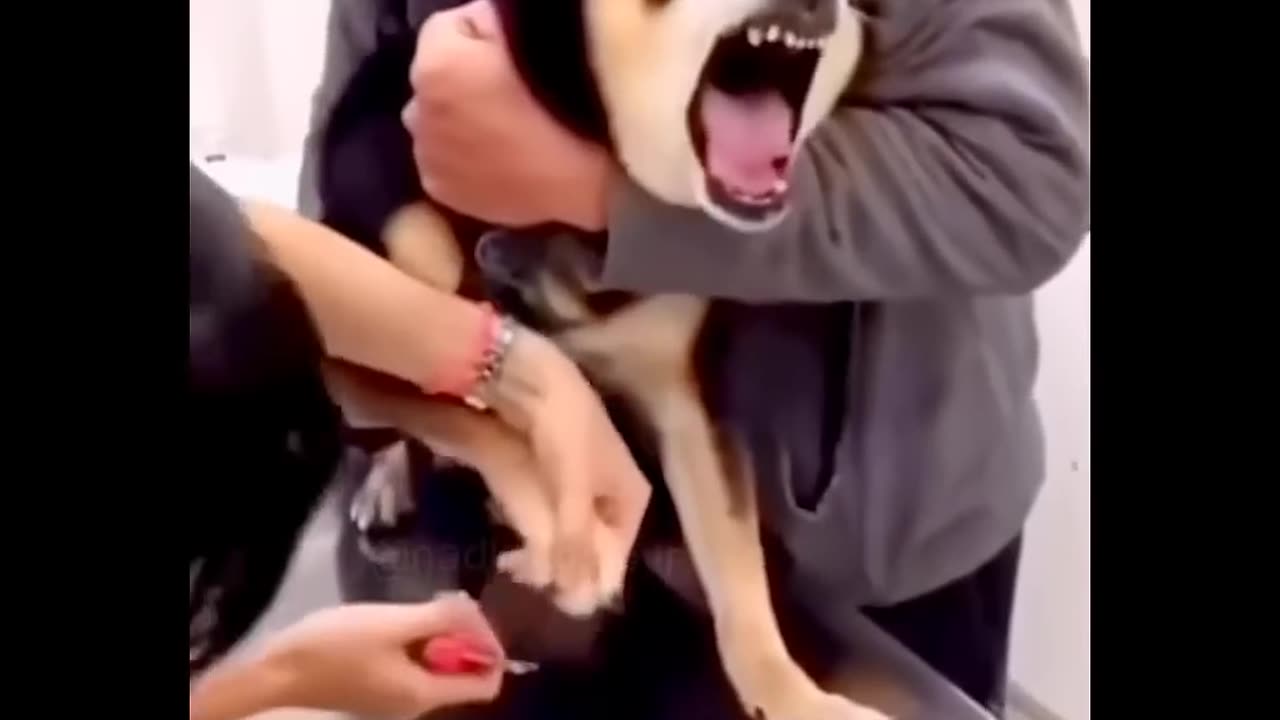 Fear😅