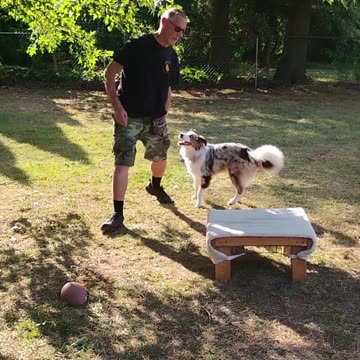 Structured Play Games Training and Practice short B 5