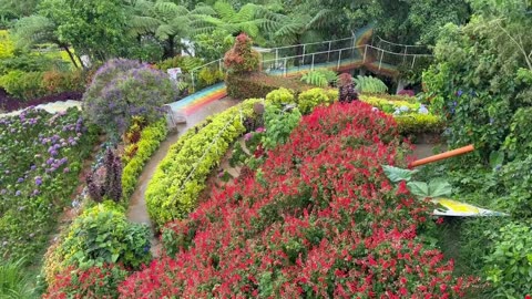 Philippines - Cebu Mountain Gardens