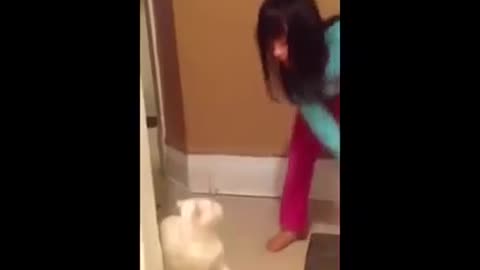 Teach your children not to tease pets.