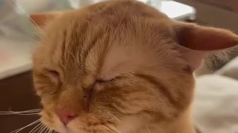 Cute 🥰