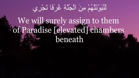 Every Soul Shall Taste Death | كُلُّ نَفْسٍ ذَائِقَةُ الْمَوْتِ | Quran Ayah Recitation