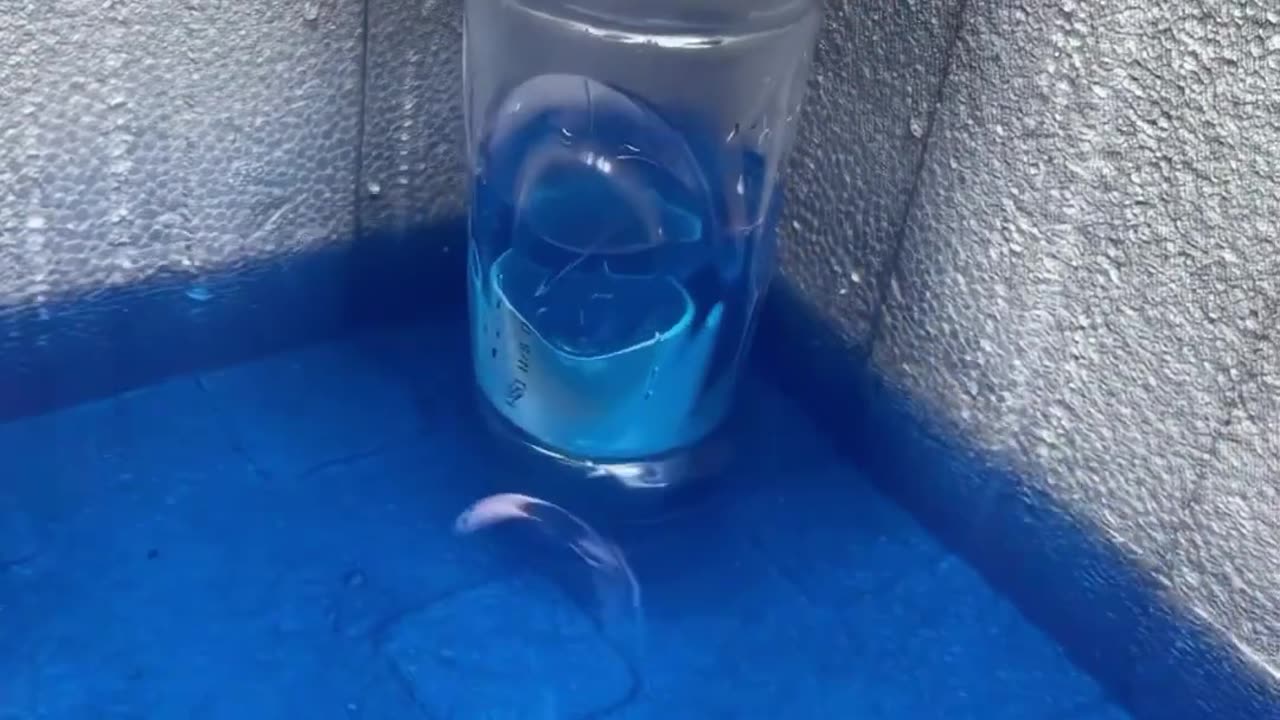 Fixing the Drain Wall Like a Pro