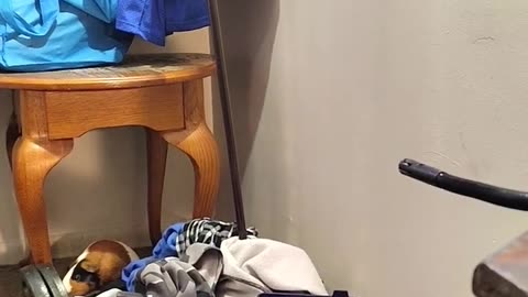 ROCKFORD STARS IN 'LAUNDRY DAY'