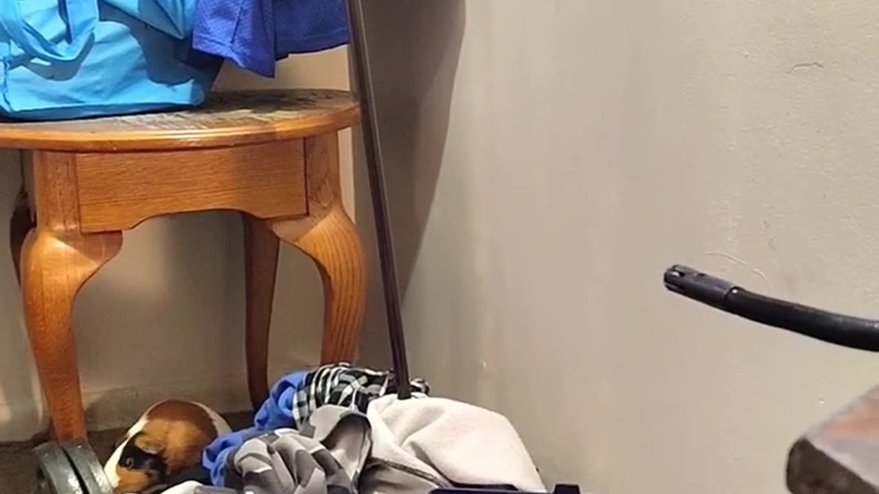 ROCKFORD STARS IN 'LAUNDRY DAY'