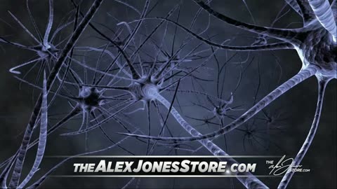 INFOWARS LIVE - 9/4/25: The American Journal with Harrison Smith / The Alex Jones Show / The War Room With Owen Shroyer