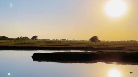 My Village sunset ❤ #maxrecords #villagelife #larkana #sindh #pakistan