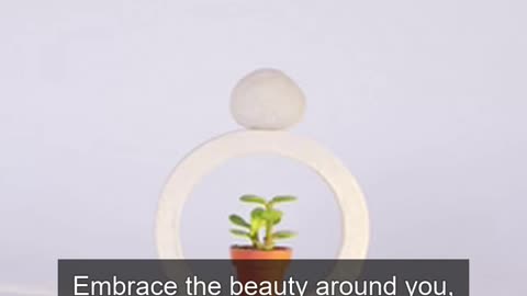 Daily Horoscope | Libra 🌟