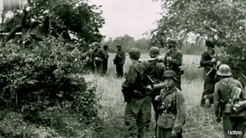 When US Shermans Hit the Panther Roadblock in Normandy A Forgotten Tank Duel