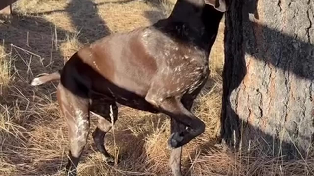 waoohhh🤣🤣🤣