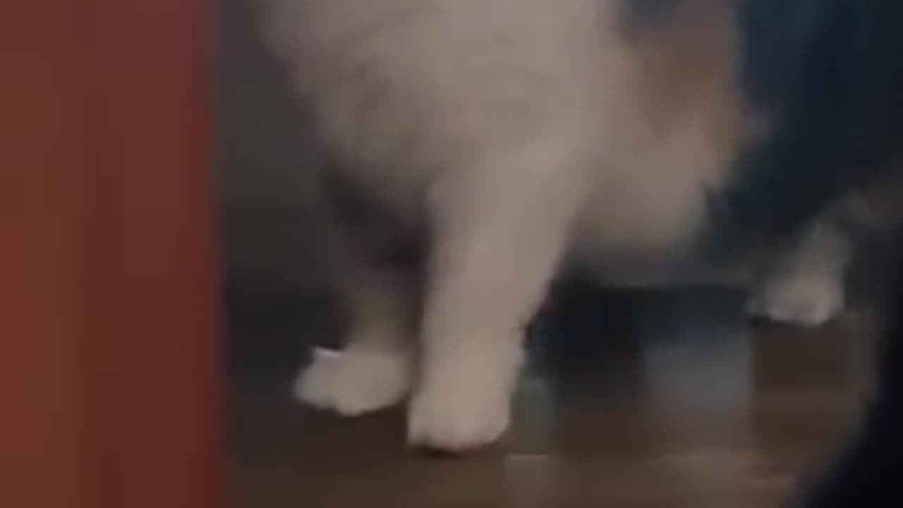 😁😁