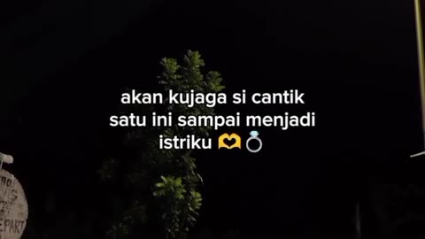 CINTA SAMPAI MATI