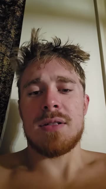 From The Horse's Mouth