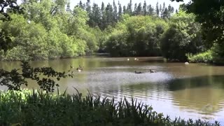 Genesis Science Report