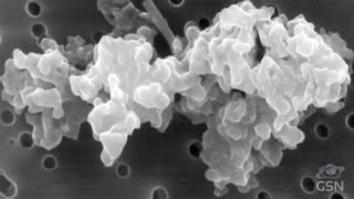 Genesis Science Report