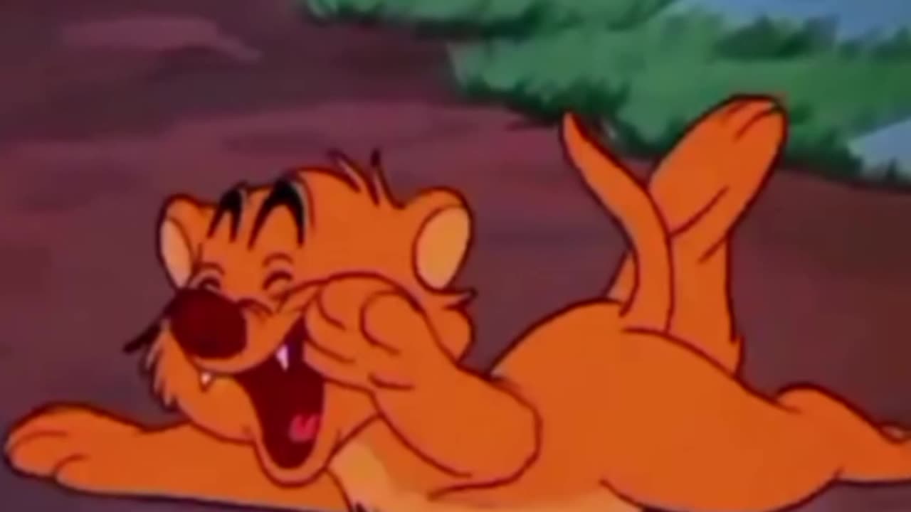 funny funny videos funny jokes funny animals funny memes funny movies funny bone