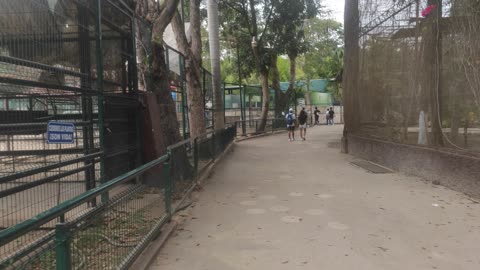 Parque Zoológico del Centenario- Mérida - Yucatán - 4K - Parte 4