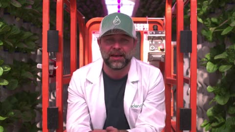 Day in the life of a hydroponic grower | Spill the Greens