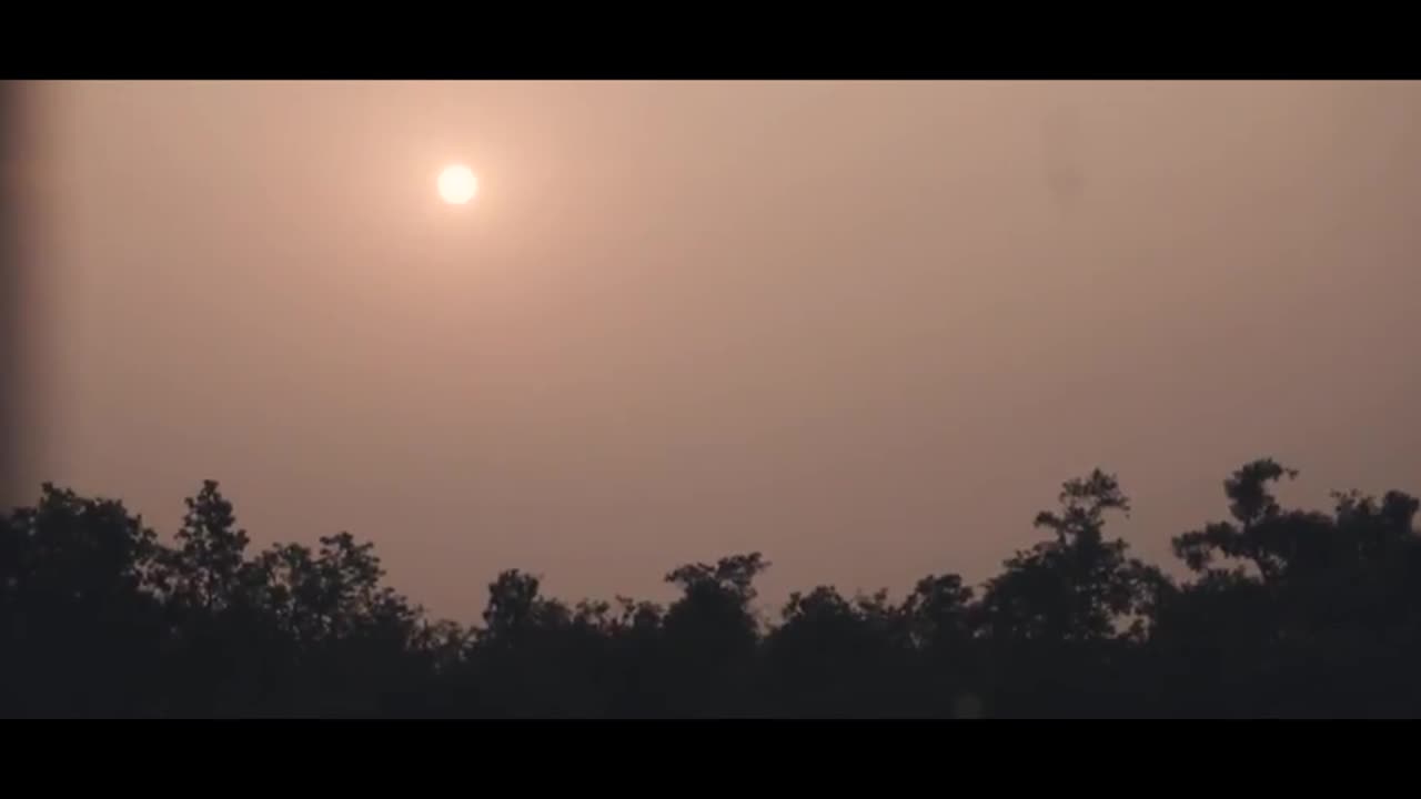 The Sundarbans Reserve Forest (SRF) | The Largest Mangrove Forest