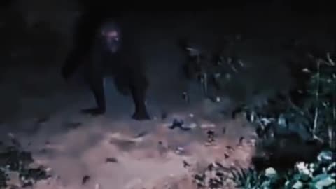 😱👻 What is That? Unexplained Phenomenon! | TheHauntingHour