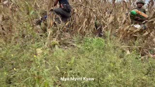 🕊️🔴 Myanmar War | Tatmadaw Showcases Captured Black Panther Column Gear | RCF