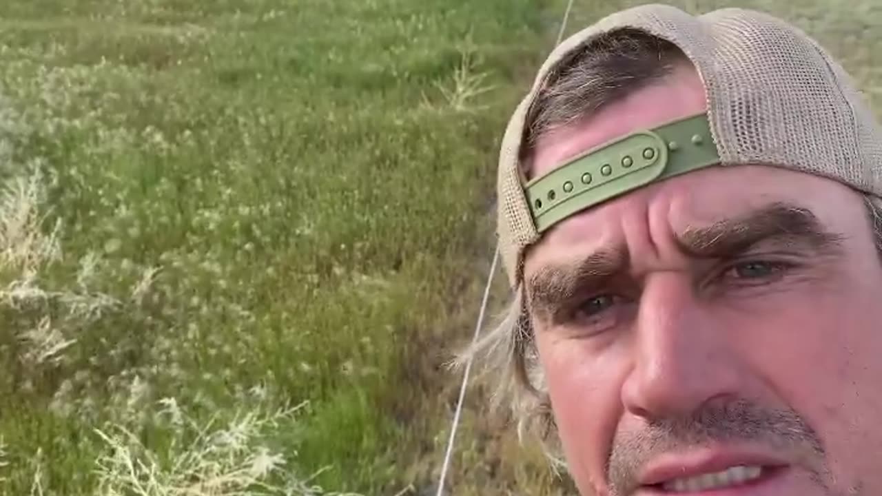 Putting Nutrients back in the soil for the best grass fed beef at cartercountrymeats.com