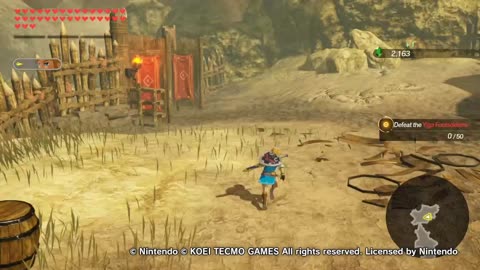 Hyrule Warriors Age Of Calamity Hair-Width Trial Intermediate