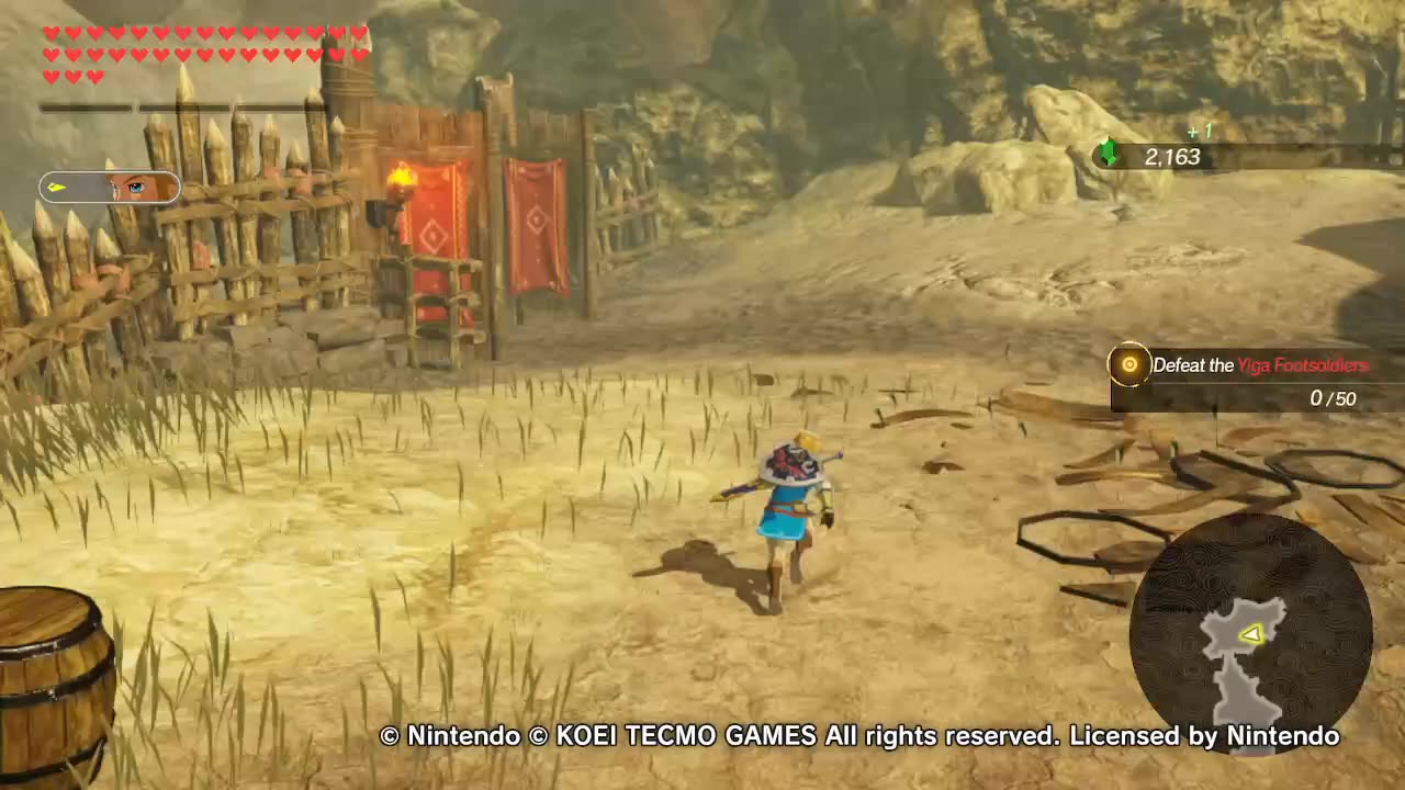 Hyrule Warriors Age Of Calamity Hair-Width Trial Intermediate