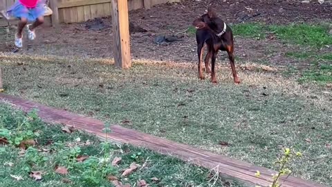 Heartwarming: Dog Protects and Loves Child Like Family 🐶❤️👶