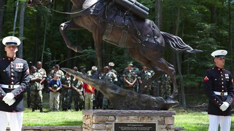 Fearless War Horse of Korea – The Incredible Sergeant Reckless