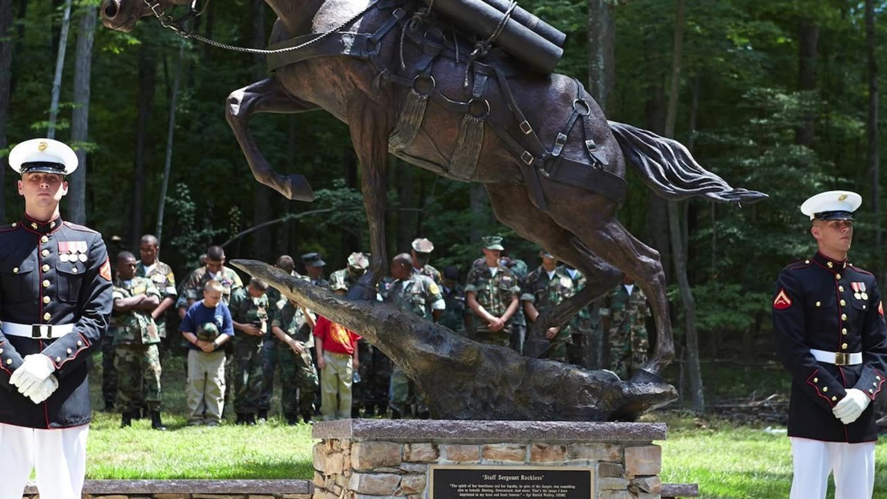 Fearless War Horse of Korea – The Incredible Sergeant Reckless