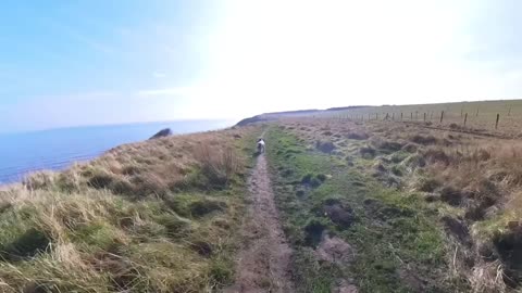 08/03/25 walk/light running with molly