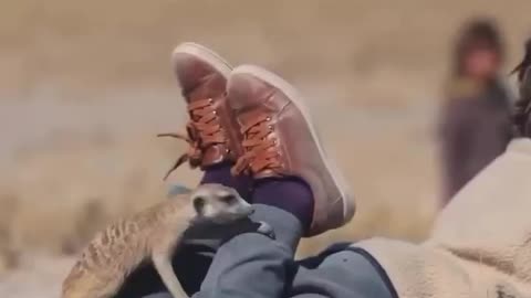 Have you ever seen such friendship?